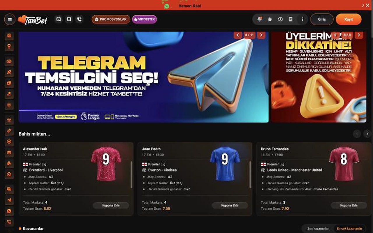 Homepage without custom CSS (platform default)